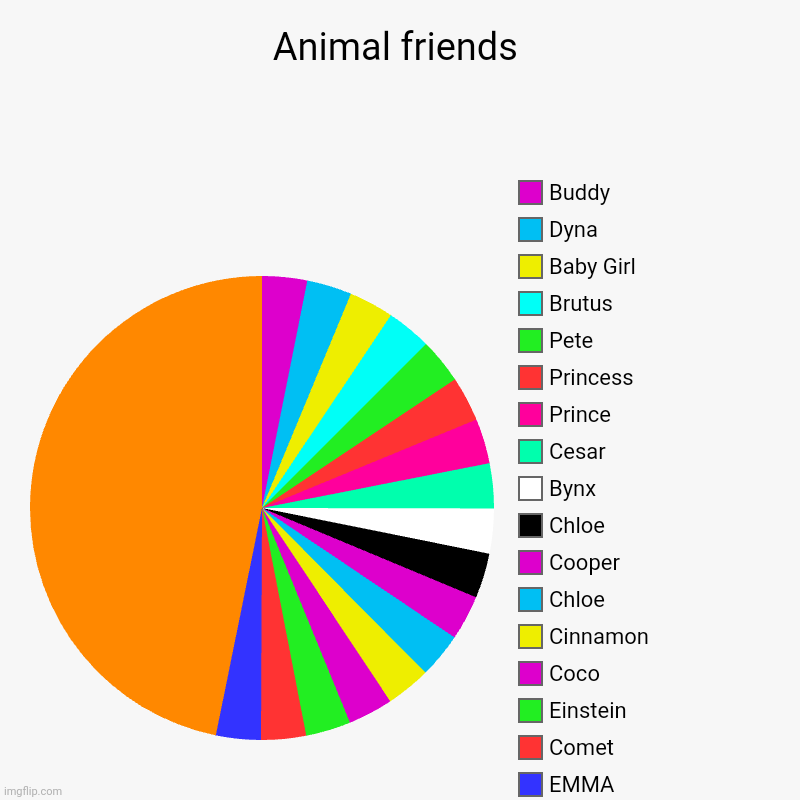 Animal Friends Chart | Animal friends | Roxie, EMMA, Comet, Einstein , Coco , Cinnamon , Chloe, Cooper, Chloe, Bynx, Cesar, Prince, Princess, Pete, Brutus , Baby G | image tagged in charts,pie charts | made w/ Imgflip chart maker
