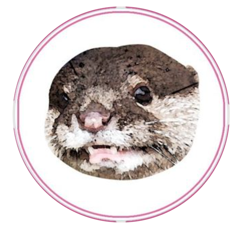 Sarah Pfp Otter Blank Meme Template