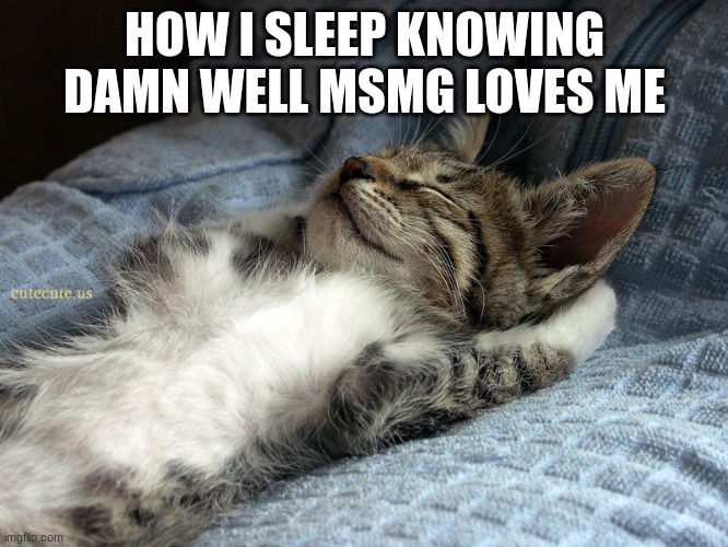 sleeping cat | HOW I SLEEP KNOWING DAMN WELL MSMG LOVES ME | image tagged in sleeping cat | made w/ Imgflip meme maker