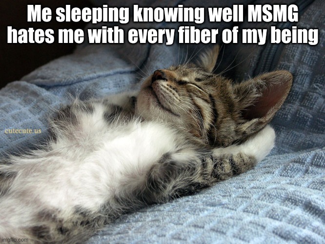 sleeping cat | Me sleeping knowing well MSMG hates me with every fiber of my being | image tagged in sleeping cat | made w/ Imgflip meme maker