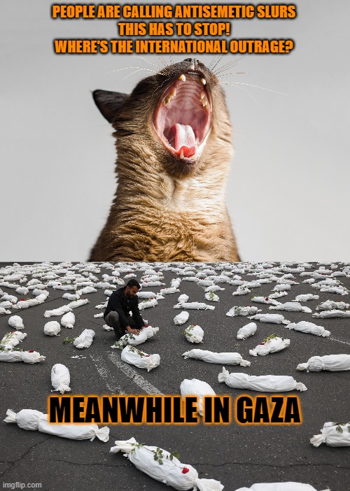 This #lolcat wonders why only one thing can be bad | PEOPLE ARE CALLING ANTISEMETIC SLURS
THIS HAS TO STOP!
WHERE'S THE INTERNATIONAL OUTRAGE? MEANWHILE IN GAZA | image tagged in outrage,lolcat,gaza,palestine,zionism,antisemitism | made w/ Imgflip meme maker