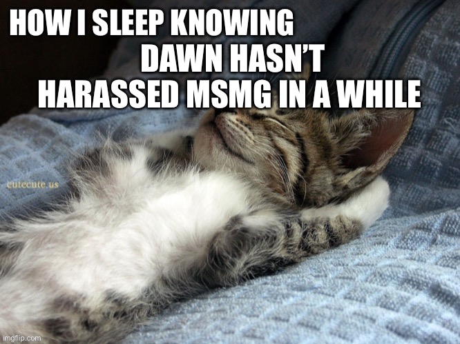 DAWN HASN’T HARASSED MSMG IN A WHILE | made w/ Imgflip meme maker