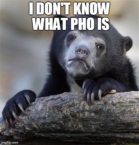 Confession Bear Meme | I DON'T KNOW WHAT PHO IS | image tagged in memes,confession bear | made w/ Imgflip meme maker
