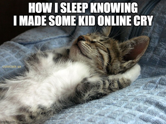 sleeping cat | HOW I SLEEP KNOWING I MADE SOME KID ONLINE CRY | image tagged in sleeping cat | made w/ Imgflip meme maker