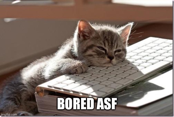 Bored Keyboard Cat | BORED ASF | image tagged in bored keyboard cat | made w/ Imgflip meme maker