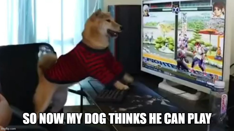 memes by Brad my dog like to play computer games | SO NOW MY DOG THINKS HE CAN PLAY | image tagged in gaming,funny,pc gaming,computer games,video games,humor | made w/ Imgflip meme maker