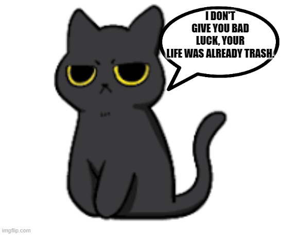 bad life | I DON'T GIVE YOU BAD LUCK, YOUR LIFE WAS ALREADY TRASH. | image tagged in cat | made w/ Imgflip meme maker