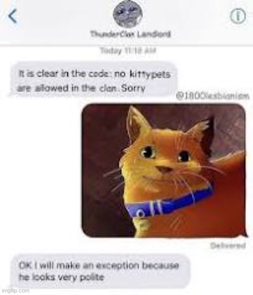 sorry it's low quality | image tagged in warrior cats,funni | made w/ Imgflip meme maker