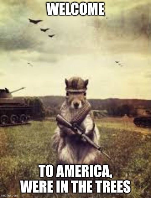 welcome to america | WELCOME; TO AMERICA, WERE IN THE TREES | image tagged in soldier squirrel | made w/ Imgflip meme maker