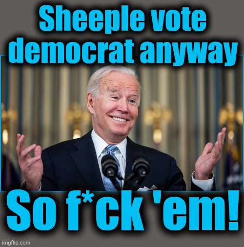 Sheeple vote
democrat anyway So f*ck 'em! | made w/ Imgflip meme maker