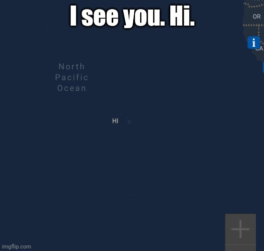 Idk what I found | I see you. Hi. | image tagged in hawaii | made w/ Imgflip meme maker