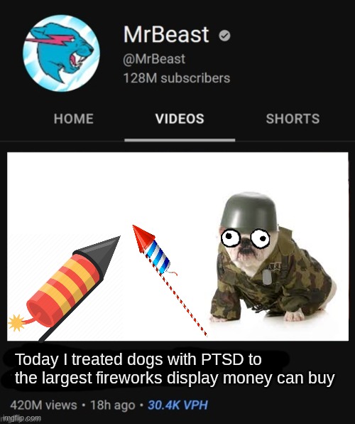 MrBeast thumbnail template | Today I treated dogs with PTSD to the largest fireworks display money can buy | image tagged in mrbeast thumbnail template | made w/ Imgflip meme maker