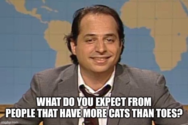 John lovitz snl liar | WHAT DO YOU EXPECT FROM PEOPLE THAT HAVE MORE CATS THAN TOES? | image tagged in john lovitz snl liar | made w/ Imgflip meme maker
