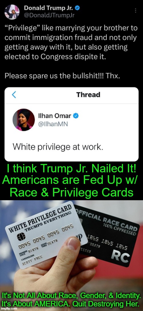 Why Not Unite FOR AMERICA? | I think Trump Jr. Nailed It! Americans are Fed Up w/ 
Race & Privilege Cards; It's Not All About Race, Gender, & Identity.
It's About AMERICA. Quit Destroying Her. | image tagged in politics,race card,white privilege,division,america,racial harmony | made w/ Imgflip meme maker