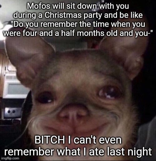 crying dog | Mofos will sit down with you during a Christmas party and be like "Do you remember the time when you were four and a half months old and you-"; BITCH I can't even remember what I ate last night | image tagged in crying dog | made w/ Imgflip meme maker