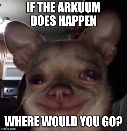 I'm moving over to vibe_stream | IF THE ARKUUM DOES HAPPEN; WHERE WOULD YOU GO? | image tagged in crying dog | made w/ Imgflip meme maker