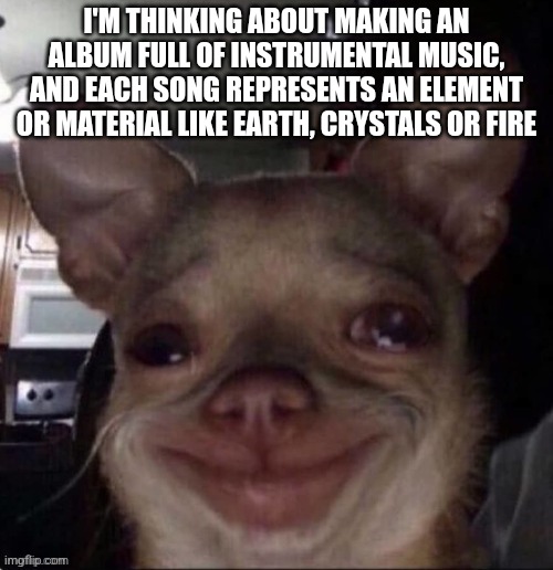 crying dog | I'M THINKING ABOUT MAKING AN ALBUM FULL OF INSTRUMENTAL MUSIC, AND EACH SONG REPRESENTS AN ELEMENT OR MATERIAL LIKE EARTH, CRYSTALS OR FIRE | image tagged in crying dog | made w/ Imgflip meme maker