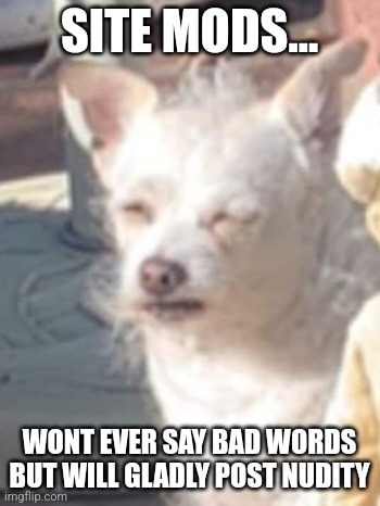 Old man doggo | SITE MODS... WONT EVER SAY BAD WORDS BUT WILL GLADLY POST NUDITY | image tagged in old man doggo | made w/ Imgflip meme maker