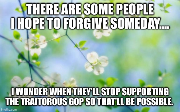 Forgiveness | THERE ARE SOME PEOPLE I HOPE TO FORGIVE SOMEDAY…. I WONDER WHEN THEY’LL STOP SUPPORTING THE TRAITOROUS GOP SO THAT’LL BE POSSIBLE. | image tagged in flowers | made w/ Imgflip meme maker