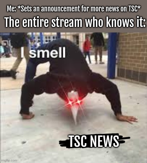 real. | Me: *Sets an announcement for more news on TSC*; The entire stream who knows it:; TSC NEWS | image tagged in i smell pestilence | made w/ Imgflip meme maker