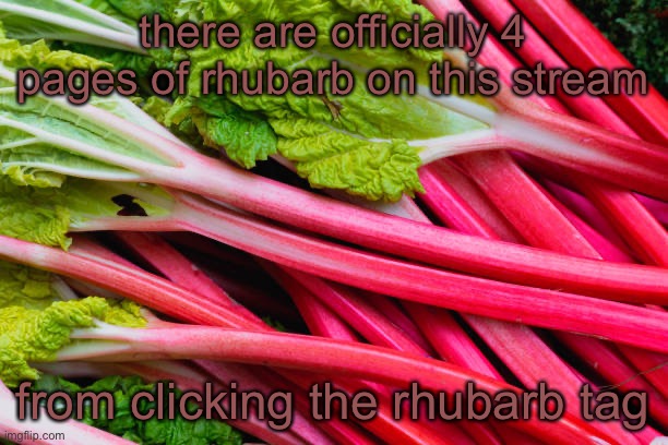 rhubarb | there are officially 4 pages of rhubarb on this stream; from clicking the rhubarb tag | image tagged in rhubarb | made w/ Imgflip meme maker