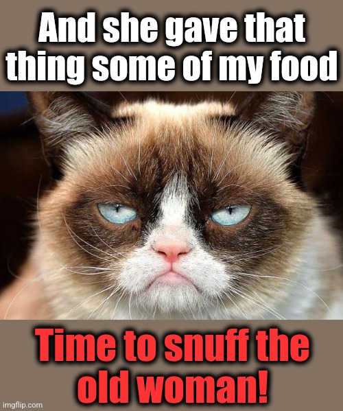 Grumpy Cat Not Amused Meme | And she gave that thing some of my food Time to snuff the
old woman! | image tagged in memes,grumpy cat not amused,grumpy cat | made w/ Imgflip meme maker