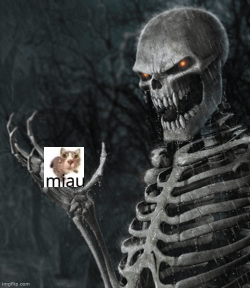 skeleton holding nothing | image tagged in skeleton holding nothing | made w/ Imgflip meme maker