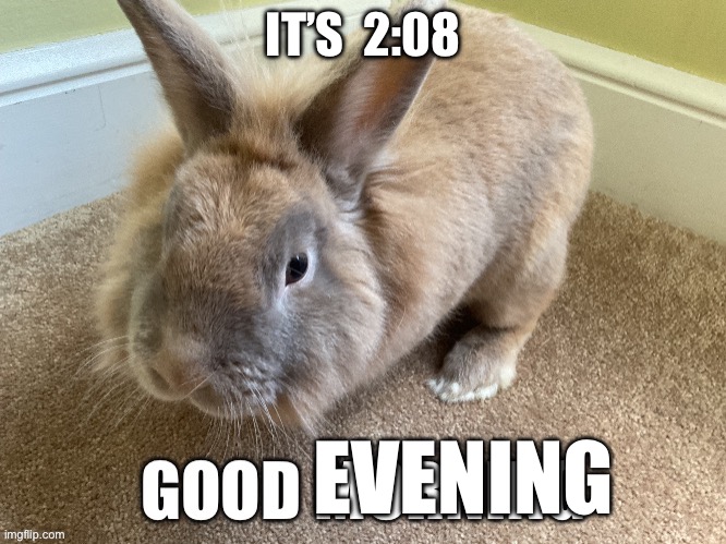 Yes, I know, there are different time zones | IT’S  2:08; EVENING | image tagged in msmg | made w/ Imgflip meme maker