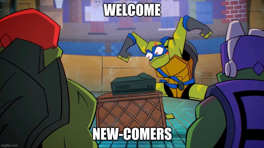 WELCOME TO MY STREAM | WELCOME; NEW-COMERS | image tagged in tmnt | made w/ Imgflip meme maker