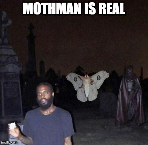 Mothman | MOTHMAN IS REAL | image tagged in cursed image | made w/ Imgflip meme maker