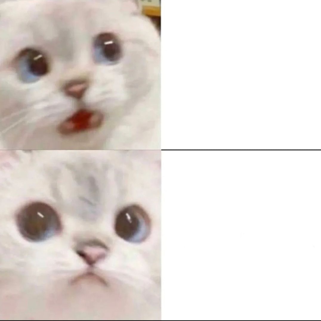 High Quality Schrodinger cat Blank Meme Template