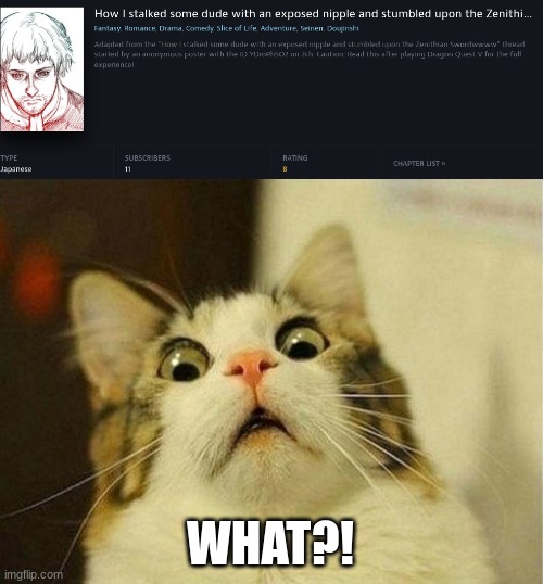 bro wtf is this | WHAT?! | image tagged in memes,scared cat,manga | made w/ Imgflip meme maker