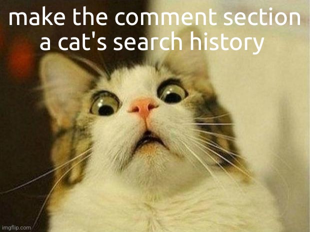 Scared Cat Meme | make the comment section a cat's search history | image tagged in memes,scared cat | made w/ Imgflip meme maker