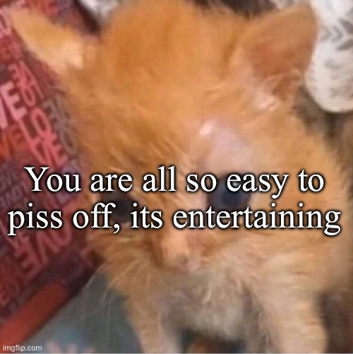 Lol | You are all so easy to piss off, its entertaining | image tagged in skrunkly | made w/ Imgflip meme maker