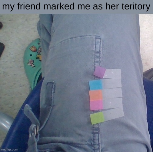 my friend marked me as her teritory | made w/ Imgflip meme maker