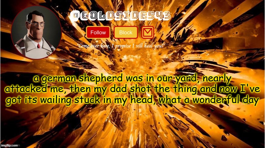 shaking like hell rn | a german shepherd was in our yard, nearly attacked me, then my dad shot the thing and now I've got its wailing stuck in my head, what a wonderful day | image tagged in gold's announcement template | made w/ Imgflip meme maker