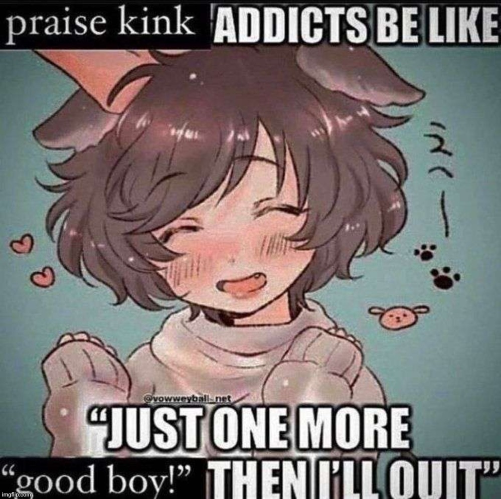 Why Would I Actually Like Being Called A Good Boy Tho Imgflip