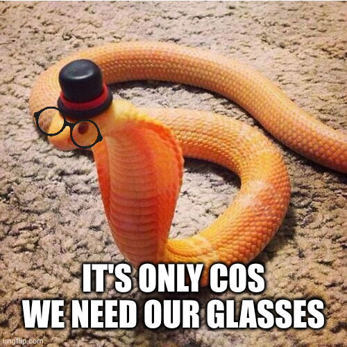 Dapper Snek | IT'S ONLY COS WE NEED OUR GLASSES | image tagged in dapper snek | made w/ Imgflip meme maker