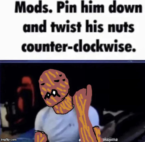 Mods pin him down but spider (by thespiderinthecorner) | image tagged in mods pin him down but spider by thespiderinthecorner | made w/ Imgflip meme maker