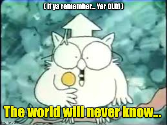 tootsie pop owl | ( If ya remember... Yer OLD! ) The world will never know... | image tagged in tootsie pop owl | made w/ Imgflip meme maker
