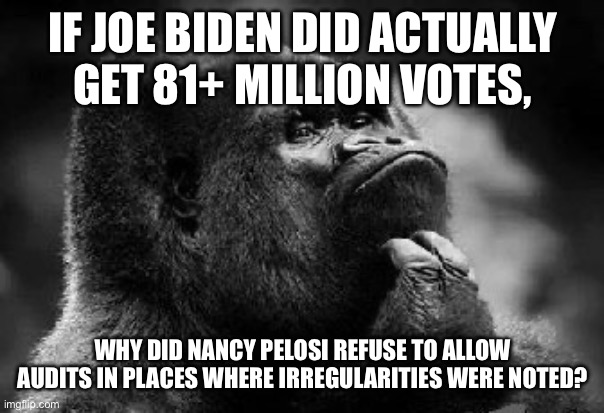 thinking monkey | IF JOE BIDEN DID ACTUALLY GET 81+ MILLION VOTES, WHY DID NANCY PELOSI REFUSE TO ALLOW AUDITS IN PLACES WHERE IRREGULARITIES WERE NOTED? | image tagged in thinking monkey | made w/ Imgflip meme maker