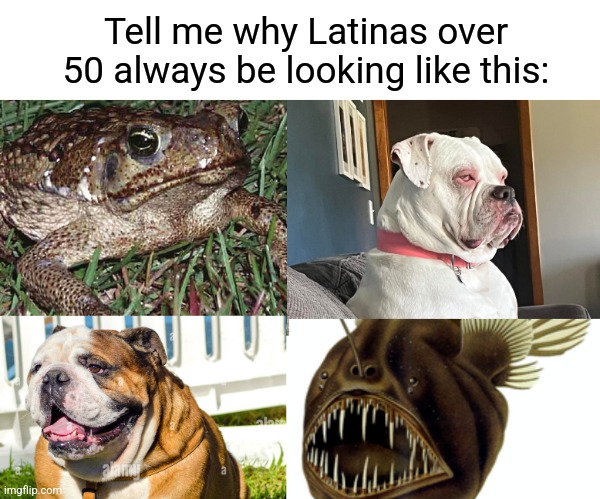 Older latina women tho | Tell me why Latinas over 50 always be looking like this: | image tagged in memes | made w/ Imgflip meme maker