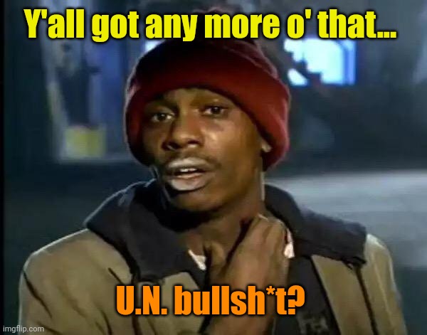 Y'all Got Any More Of That Meme | Y'all got any more o' that... U.N. bullsh*t? | image tagged in memes,y'all got any more of that | made w/ Imgflip meme maker