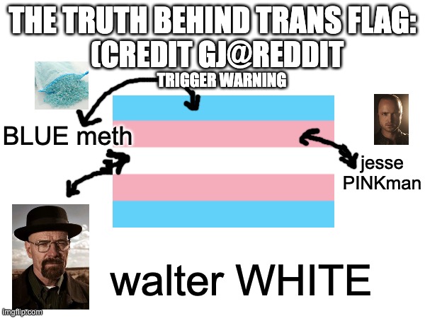 waltuh | THE TRUTH BEHIND TRANS FLAG:; (CREDIT GJ@REDDIT; TRIGGER WARNING; jesse PINKman; BLUE meth; walter WHITE | image tagged in memes | made w/ Imgflip meme maker