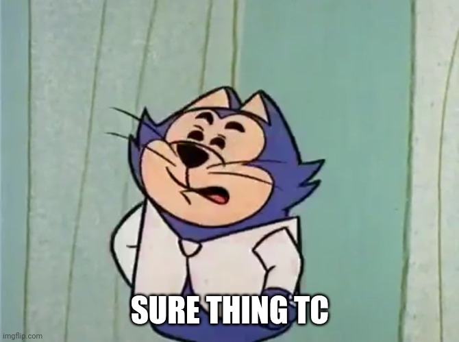 Top Cat | SURE THING TC | image tagged in top cat | made w/ Imgflip meme maker