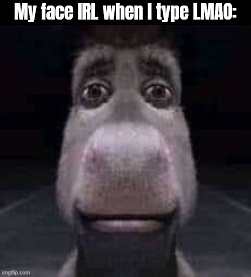 Donkey staring | My face IRL when I type LMAO: | image tagged in donkey staring | made w/ Imgflip meme maker