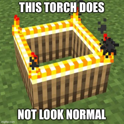 Weird torch | THIS TORCH DOES; NOT LOOK NORMAL | image tagged in torch,weird,funny | made w/ Imgflip meme maker