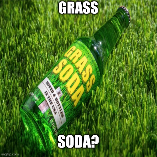 Grass soda? | GRASS; SODA? | image tagged in grass,soda,funny | made w/ Imgflip meme maker