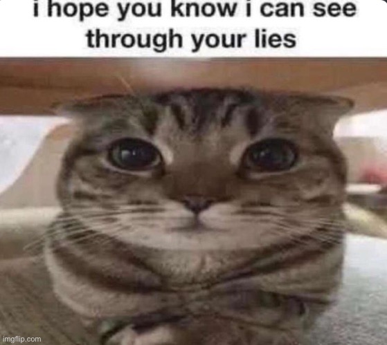 I can see through your lies | image tagged in i can see through your lies | made w/ Imgflip meme maker
