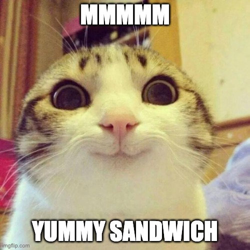 yummy sandwich cat | MMMMM; YUMMY SANDWICH | image tagged in memes,smiling cat | made w/ Imgflip meme maker